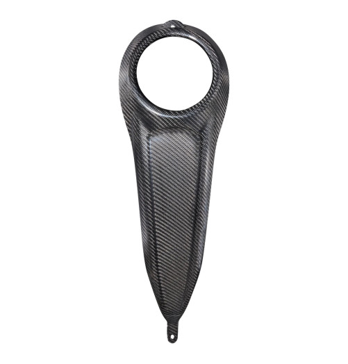 CARBON FIBER DASH, 2024-2025 TOURING